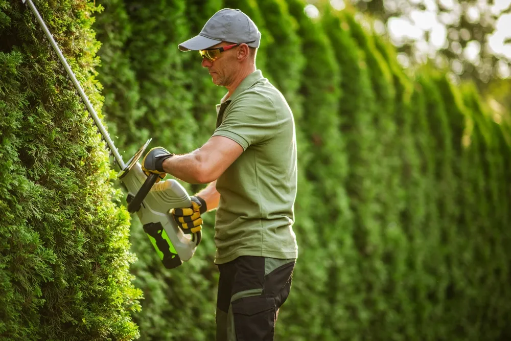 38e84b06278d7b59405e0d4c6a4de1820d66f593